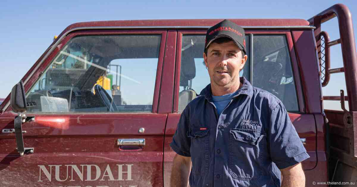 Dairy farm's recycled manure system helps make operation more sustainable