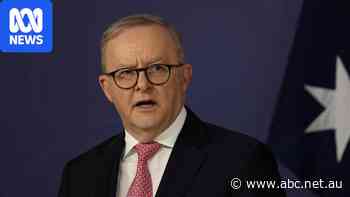 Live: Albanese says OpenAI took three months to report Medicare breach