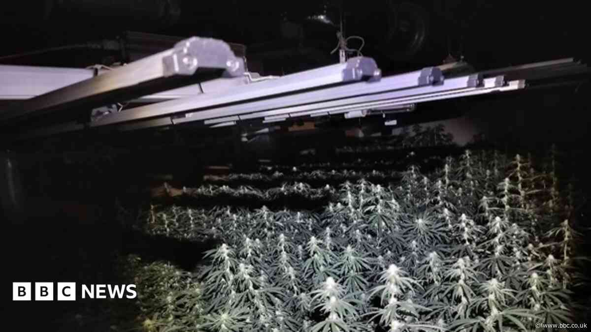 Arrests after drugs farm discovered above bar
