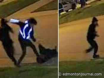 West Edmonton attack leaves man in hospital, police hunting for suspects