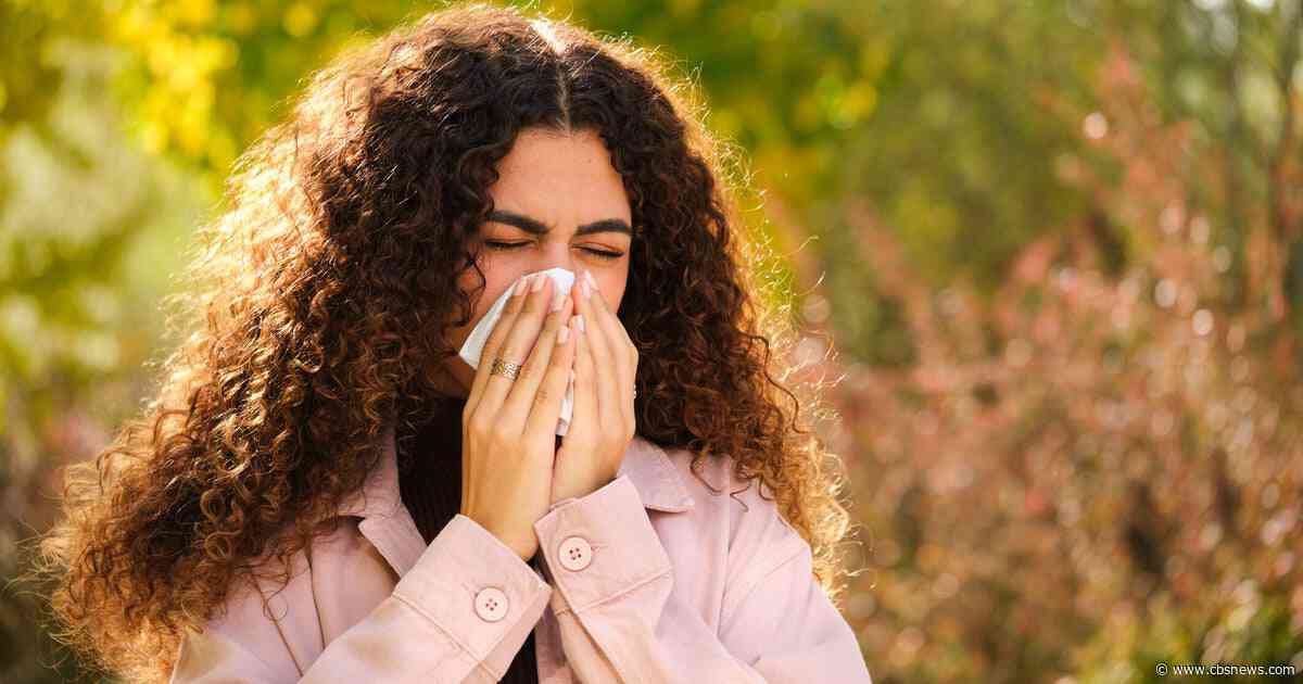 Tips for keeping fall allergies under control