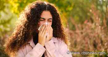 Tips for keeping fall allergies under control
