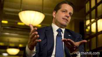Scaramucci: Leavitt would have told Trump not to ban media outlets