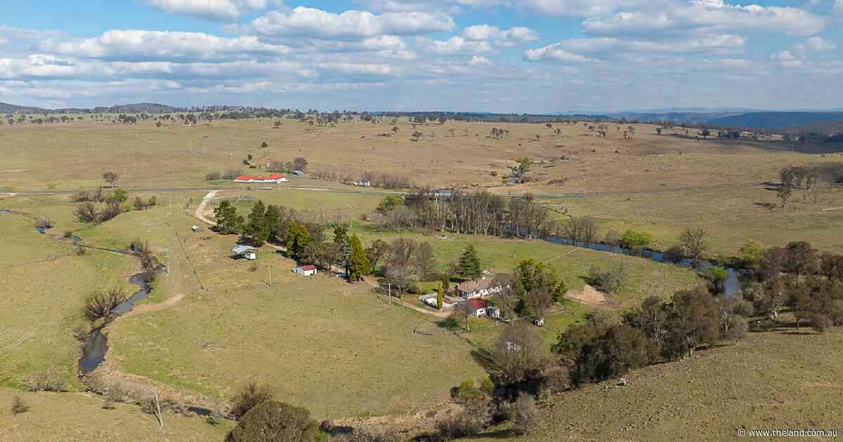 Hillgrove a proven and reliable grazing operation close to the city | Video