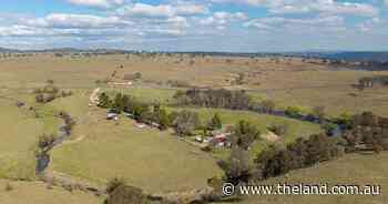 Hillgrove a proven and reliable grazing operation close to the city | Video