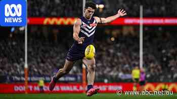 From disaster to destiny, it's taken a decade to rebuild the Dockers
