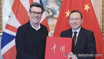 How 'Chinese vultures' have slowly but surely stripped Britain's assets... from nuclear power, property and black cabs, to football clubs and now schools. So why ARE our politicians meekly watching on as shadowy Communist controlled firms pillage Britain?