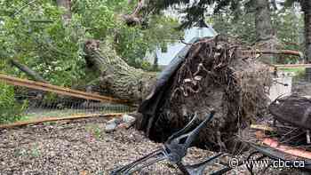 Updated stats reveal 17 tornadoes have rolled through Manitoba so far this year