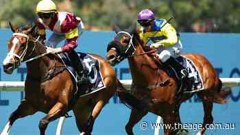 Curtis backs improved Modella to fill void in spring mares features