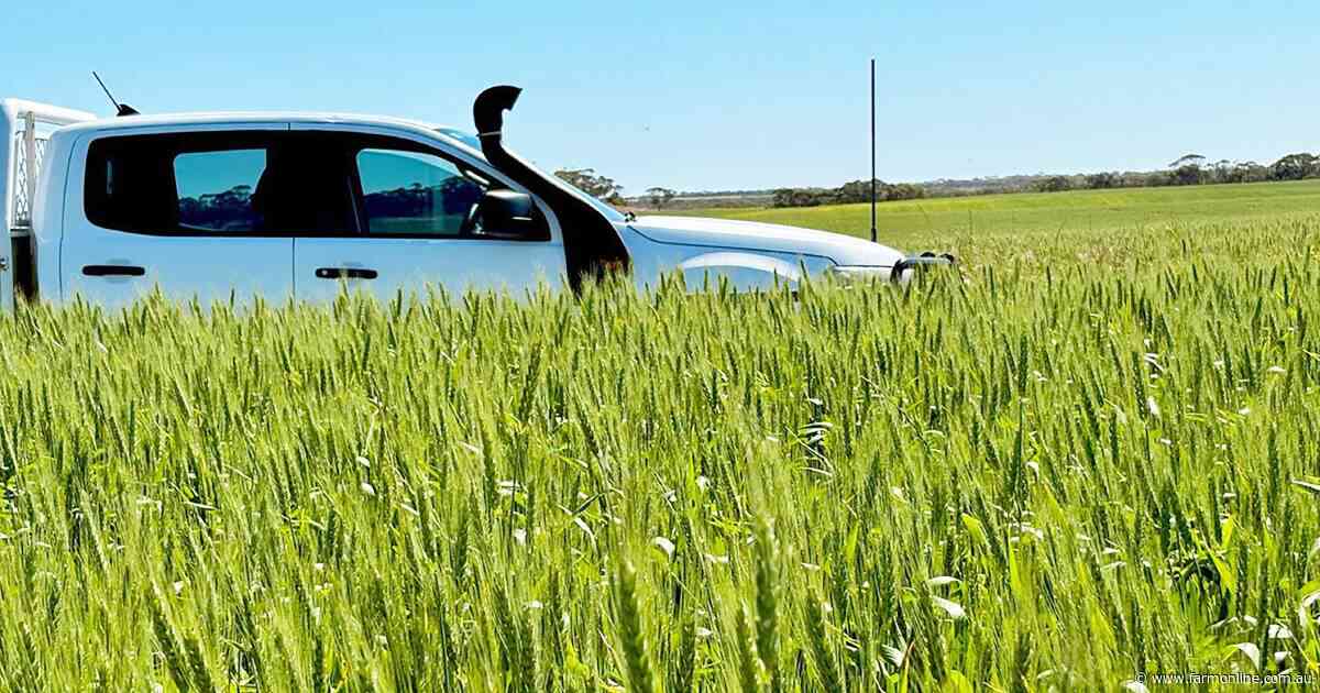 SA farm for sale with 1740 acres of arable land and stock options