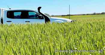 SA farm for sale with 1740 acres of arable land and stock options