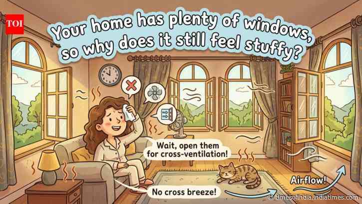 Your home has plenty of windows, so why does it still feel stuffy? An expert explains