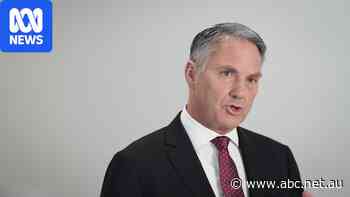 Live: AI incident very serious and 'utterly unacceptable', Marles says