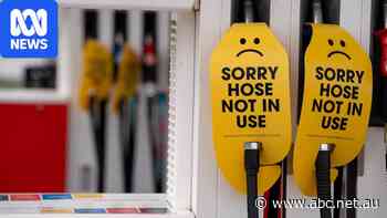 Analyst warns diesel could top $4 and rationing possible if US ban proceeds