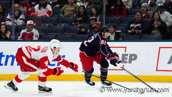 Red Wings Preseason Over-Reactions: Detroit’s In A New Era