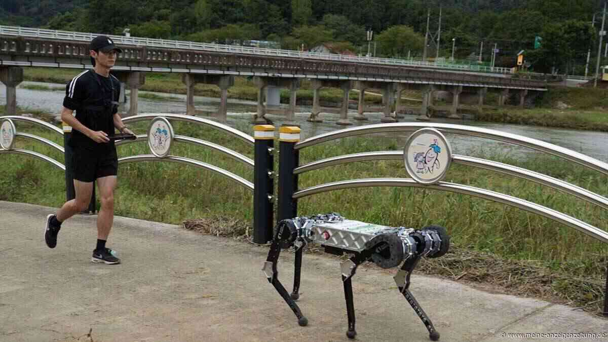 Roboter in Südkorea läuft Marathon unter viereinhalb Stunden