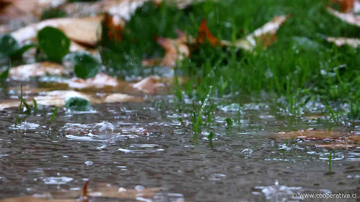 Temporal en el Biobío: Alerta por lluvias de más de 100 mm y ráfagas de viento