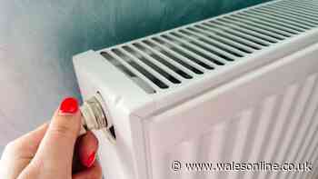 Start saving money on heating by getting 1 simple job done before September ends