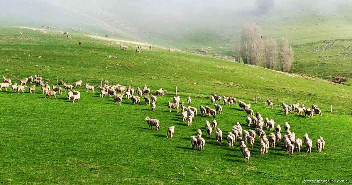 Central Victorian grazing property sells for $2.1m after a swift campaign