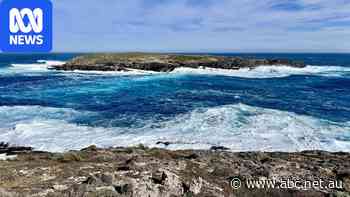 Another setback for beleaguered Cape du Couedic wave buoy