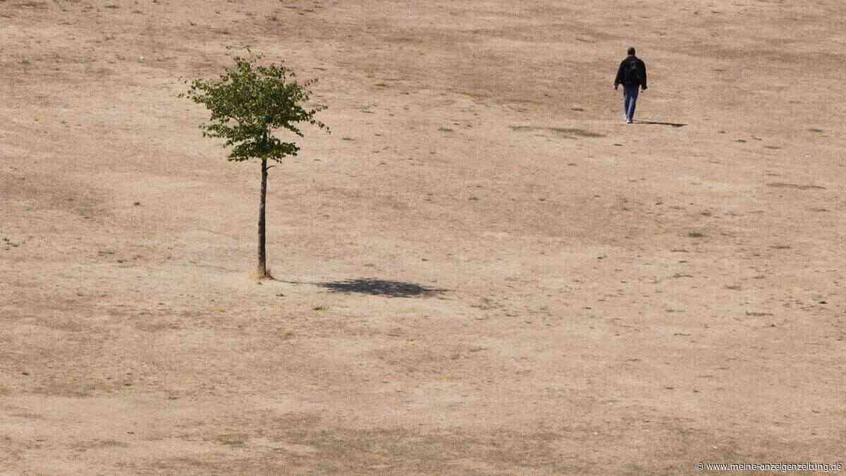 Allianz: Hitze senkt Europas Wirtschaftsleistung