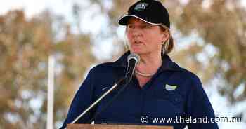'Short sighted': NSW Farmers president warns of migration flow-on effect