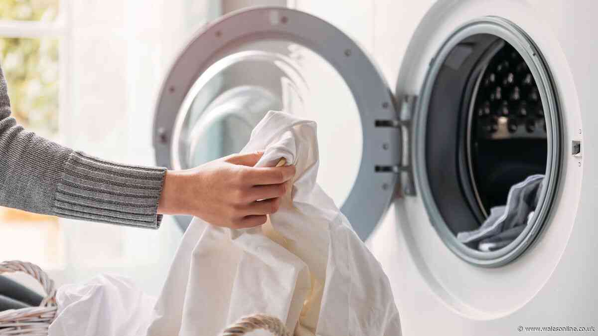 'Brilliant' Dunelm item dries clothes 'super fast' — £24 less than branded version