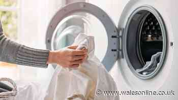 'Brilliant' Dunelm item dries clothes 'super fast' — £24 less than branded version
