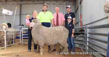 Mammoth five hour sale finishes in mammoth result for the Ledwith family