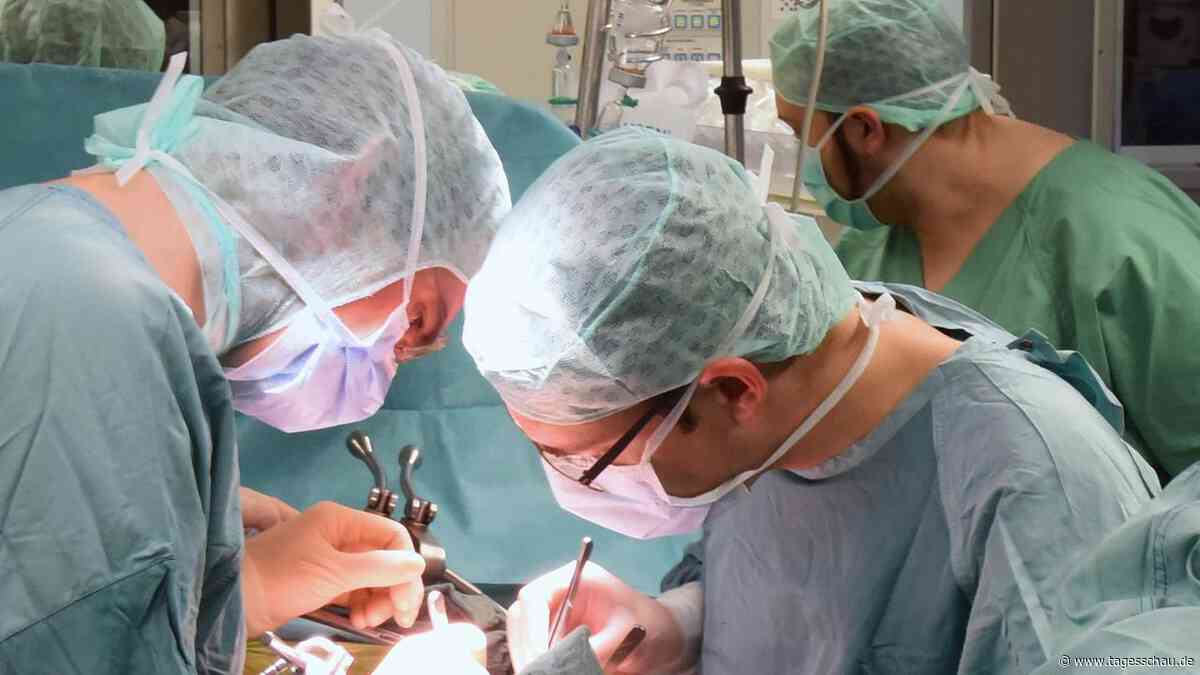 Organspende: Argumente für und gegen die Widerspruchslösung