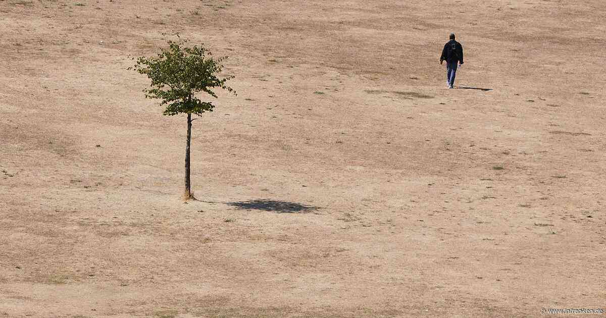 Allianz: Hitze senkt Europas Wirtschaftsleistung
