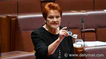 Pauline Hanson blasts Anthony Albanese for keeping Medicare breach a 'secret' until he arrived in New York for global event