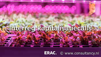 Waarom Europa steeds vaker kiest voor Interreg-kapitalisatiecalls