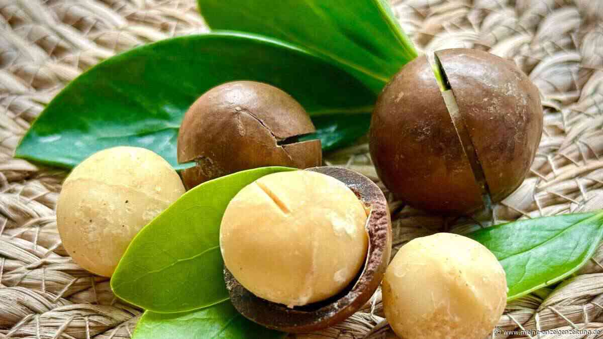 Supernuss Macadamia: Eine Australierin zum Anbeißen
