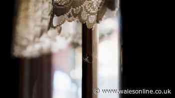 Spiders will stay out with pest control expert's three simple cleaning tips