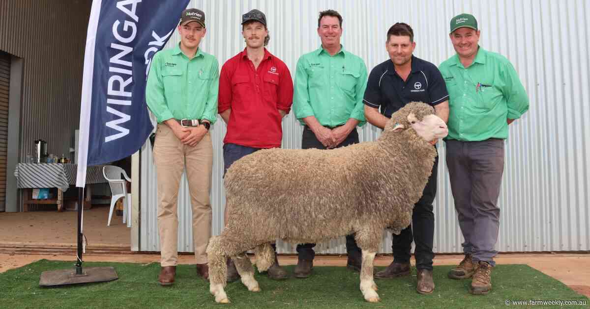 Wiringa Park achieves 100 per cent clearance and a new sale record average