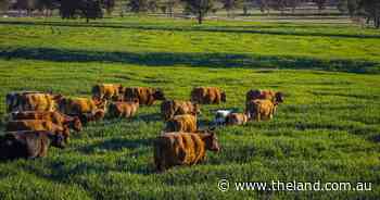 St Eloi a quality cattle, cropping property with arable country | Video