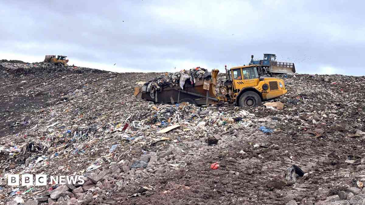 'Perfect storm' could lead to rubbish piling up on Scotland's streets, experts warn