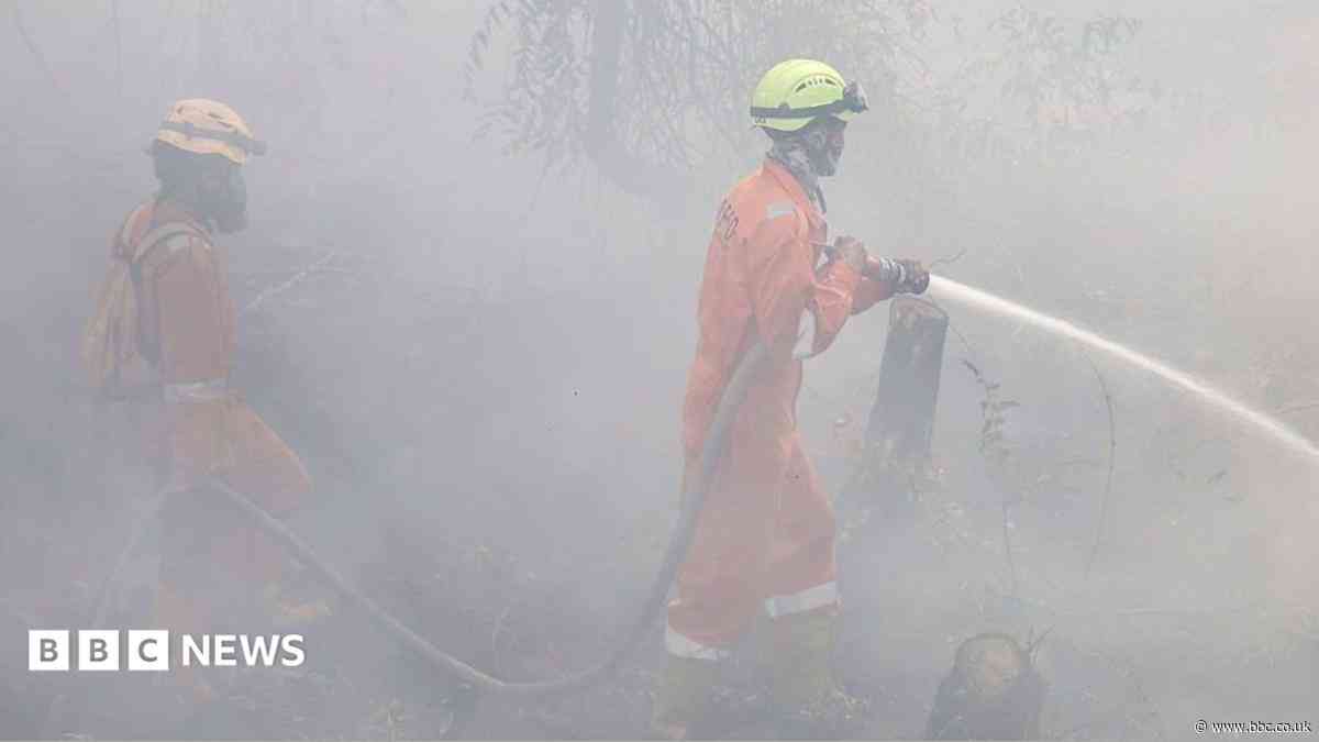 More than 170,000 respiratory cases recorded in haze-choked Indonesia