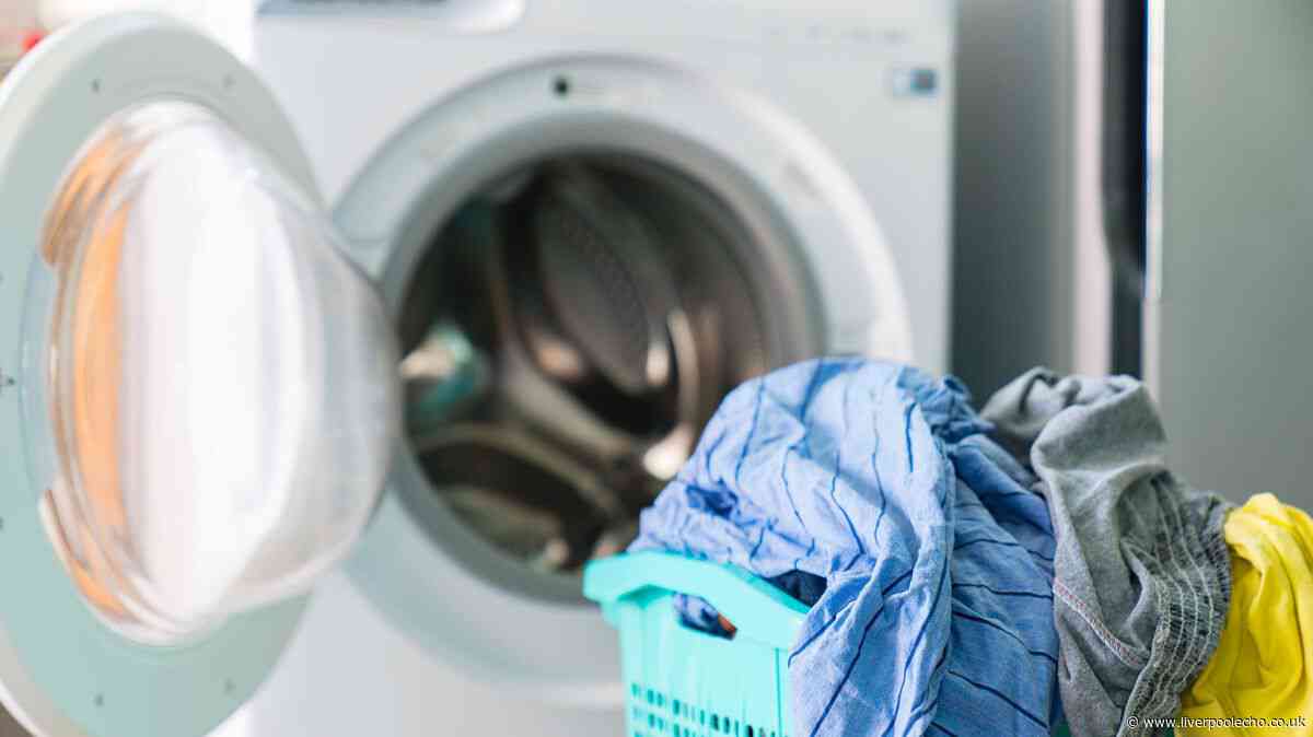 Dunelm's 'brilliant' clothes dryer pod dries 'super fast' for just 21p an hour
