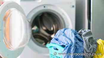 Dunelm's 'brilliant' clothes dryer pod dries 'super fast' for just 21p an hour