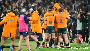 ‘I knew we had that belief’: How the Wallabies broke their 62-year Ellis Park curse