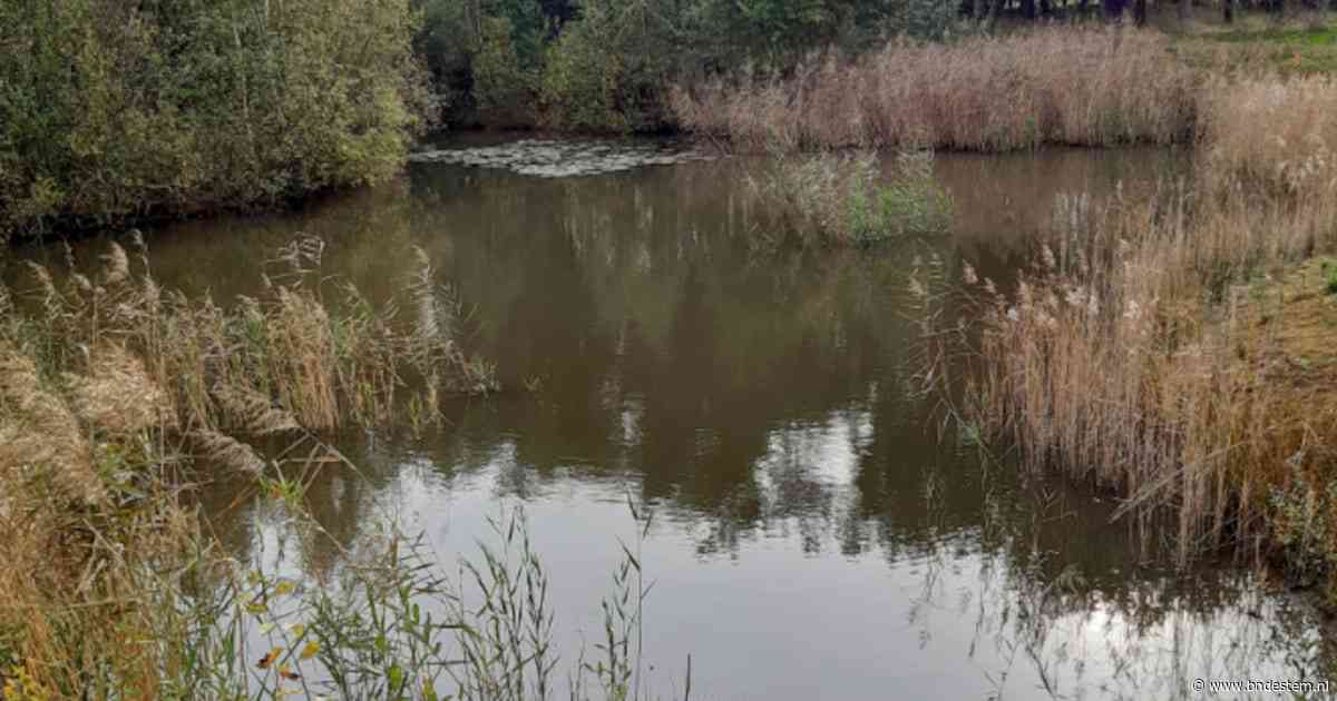 Natuur en biodiversiteit centraal tijdens excursie langs Bleekloop in Wouwse Plantage