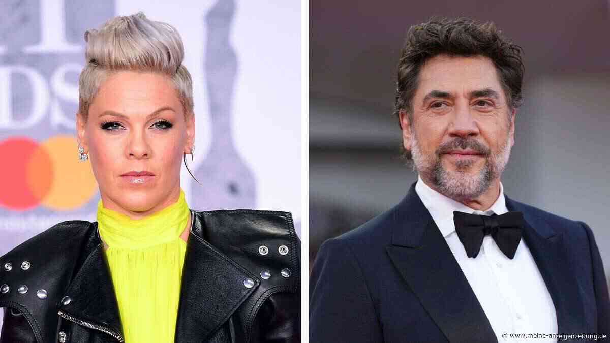 P!nk droht UNICEF-Aus: Javier Bardem macht mit Petition gegen die Sängerin massiv Druck