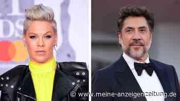 P!nk droht UNICEF-Aus: Javier Bardem macht mit Petition gegen die Sängerin massiv Druck