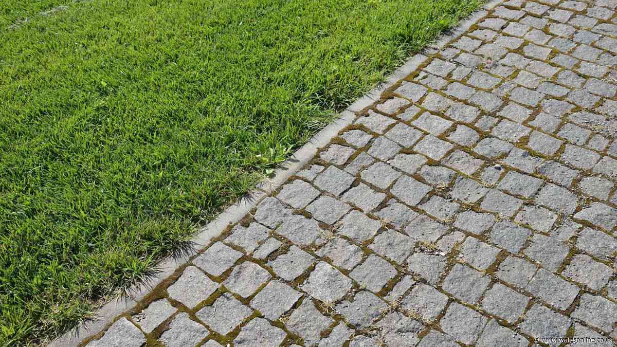 Task all gardeners need to do now to protect their patio before winter