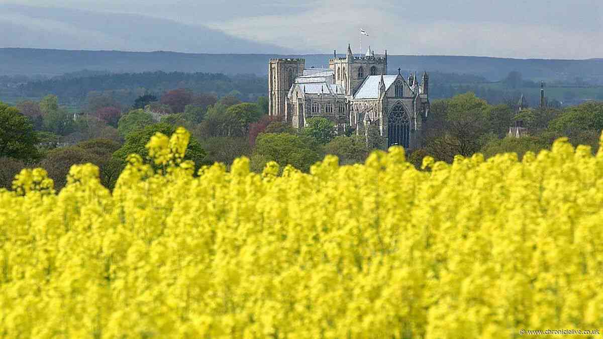 Charming city with historic cathedral and medieval ruins less then 90 mins from Newcastle