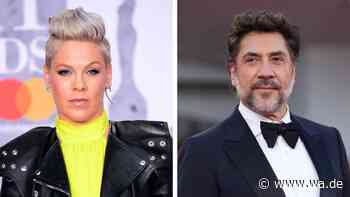 P!nk droht UNICEF-Aus: Javier Bardem macht mit Petition gegen die Sängerin massiv Druck