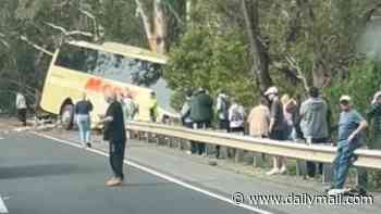 Emergency as tour bus is involved in multi-vehicle crash: Fears of mass injuries and fatality