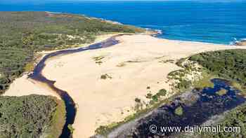 Swimmer is found dead after urgent search and rescue operation launched at a beach